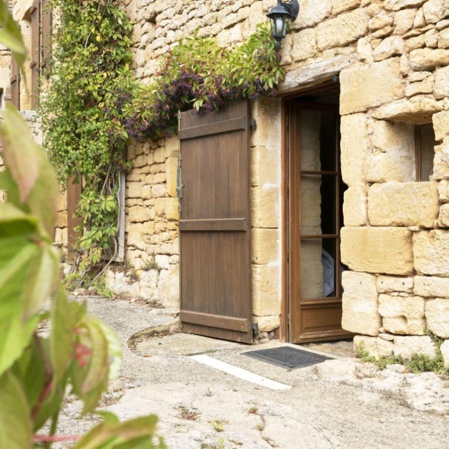 Domaine De Cantegrel - Gites De Charme Et Suite Troglodyte En Perigord Vitrac  Exteriör bild