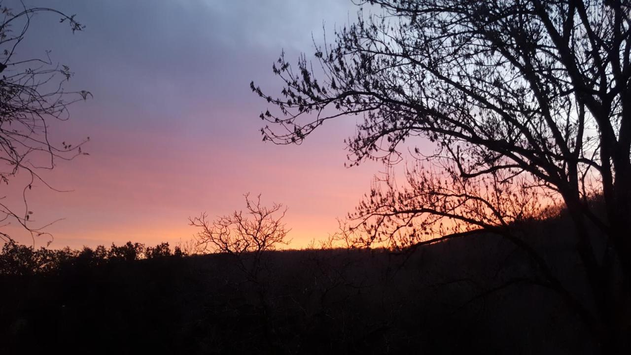 Domaine De Cantegrel - Gites De Charme Et Suite Troglodyte En Perigord Vitrac  Exteriör bild