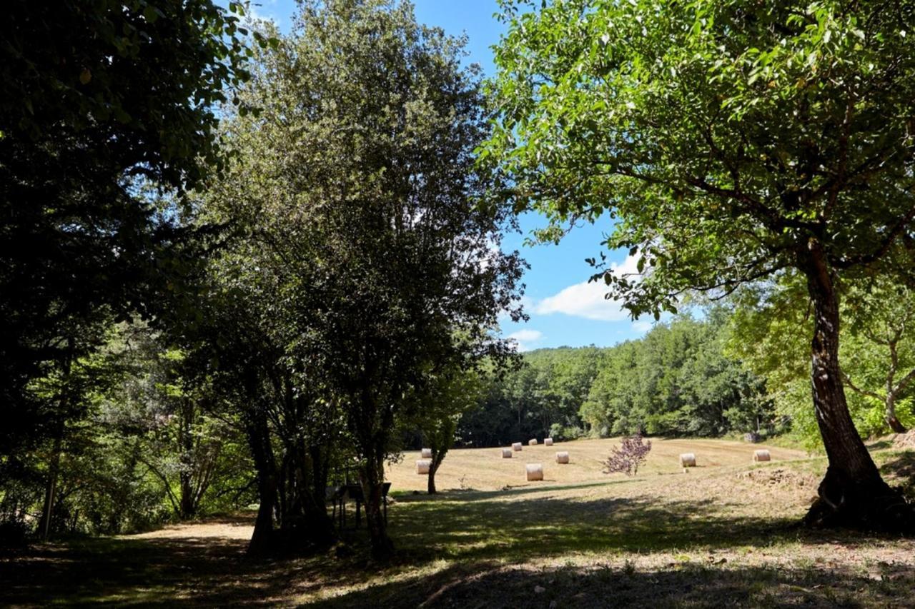 Domaine De Cantegrel - Gites De Charme Et Suite Troglodyte En Perigord Vitrac  Exteriör bild