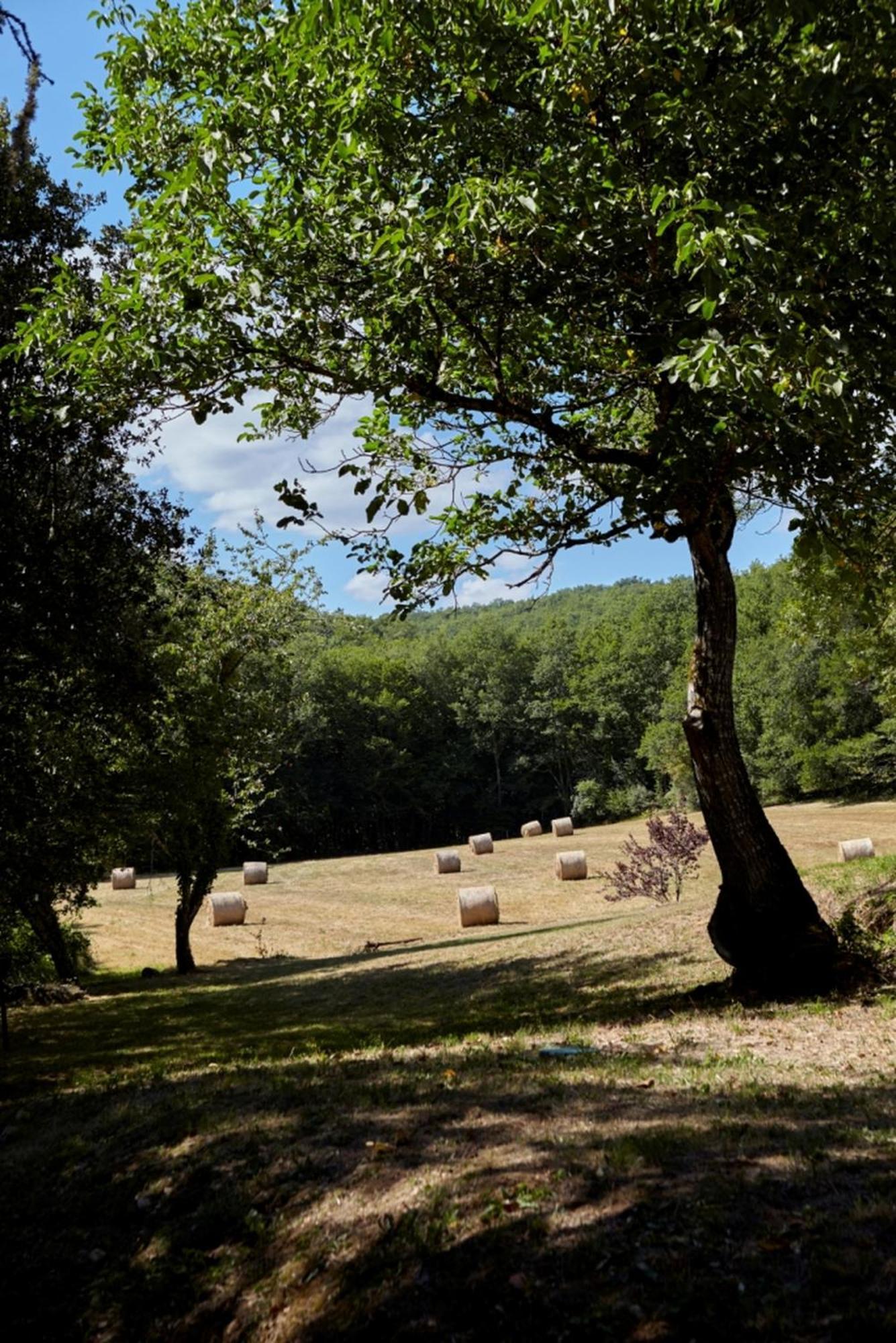 Domaine De Cantegrel - Gites De Charme Et Suite Troglodyte En Perigord Vitrac  Exteriör bild
